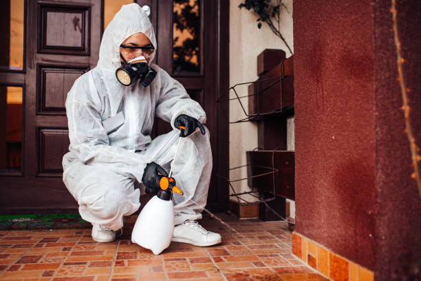 Reliable Bed Bug Control contractor in Spanish Fort, AL by Nex Pest Control