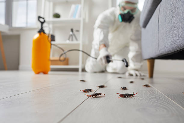 Trusted Cockroach Control service in Spanish Fort, AL - Nex Pest Control