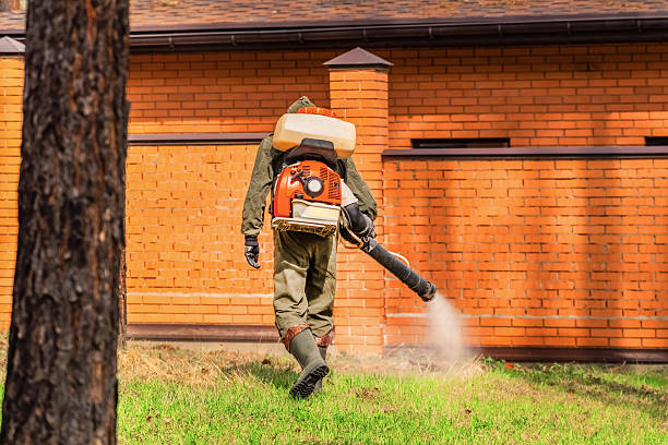 Trusted Emergency Pest Control service in Spanish Fort, AL - Nex Pest Control